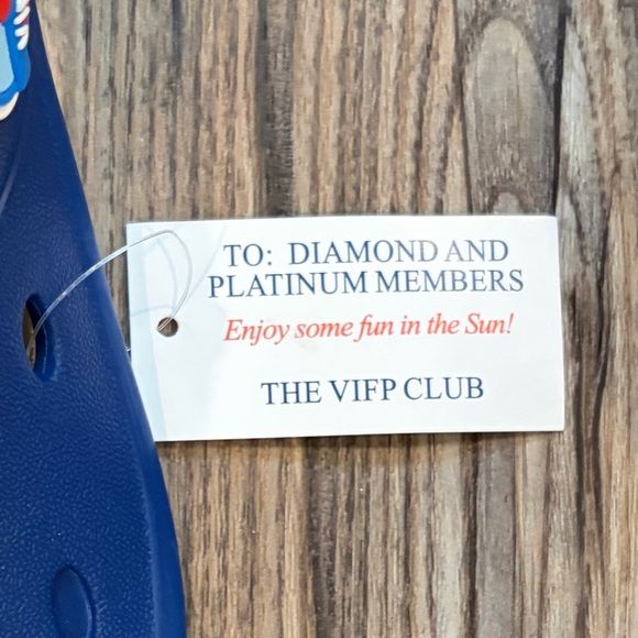 NWT Vizers Carnival Cruise VIFP Club 2 Hat Visor Red & Blue Color New - Picture 2 of 9